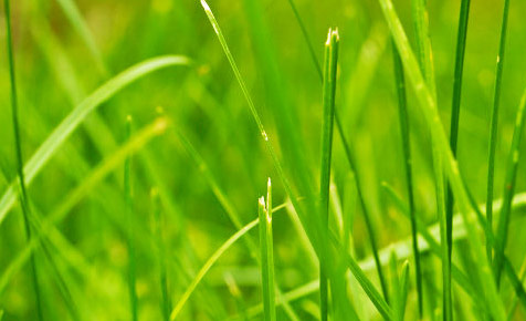 加特林短信测压